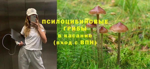 круглые Аркадак