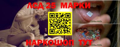 PSILOCYBIN Ростов Великий