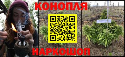 PSILOCYBIN Ростов Великий