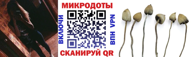 Псилоцибиновые грибы мухоморы Брянск