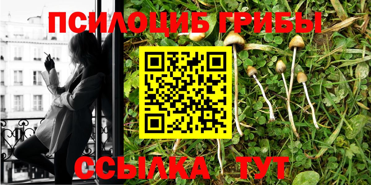 Псилоцибиновые грибы GOLDEN TEACHER Брянск